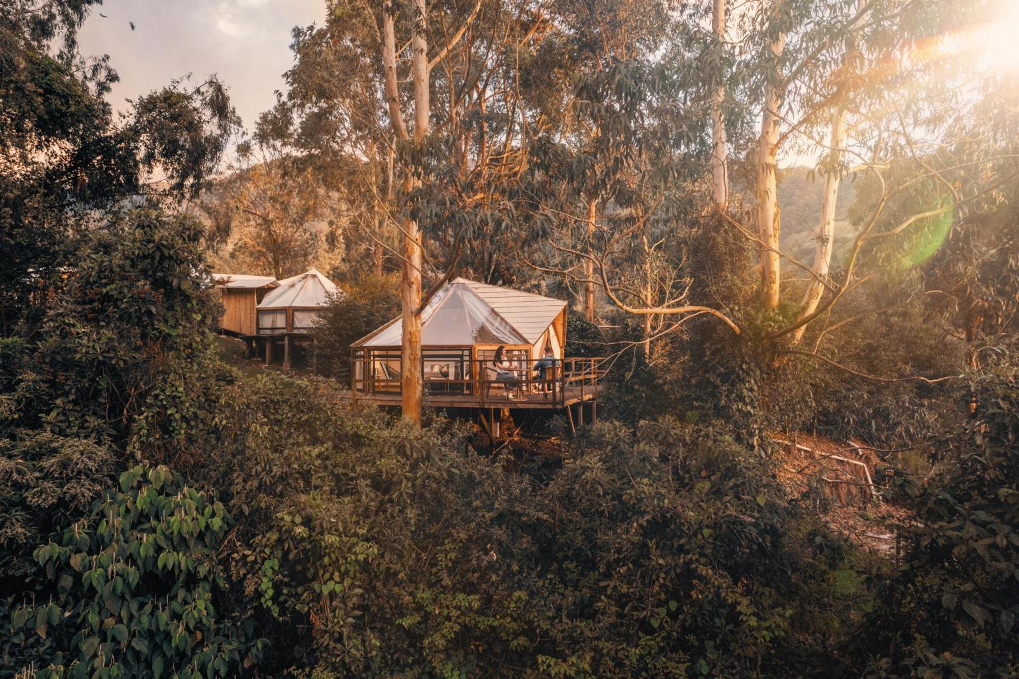 Glamping Lumbre Villa Salento Ngoại thất bức ảnh